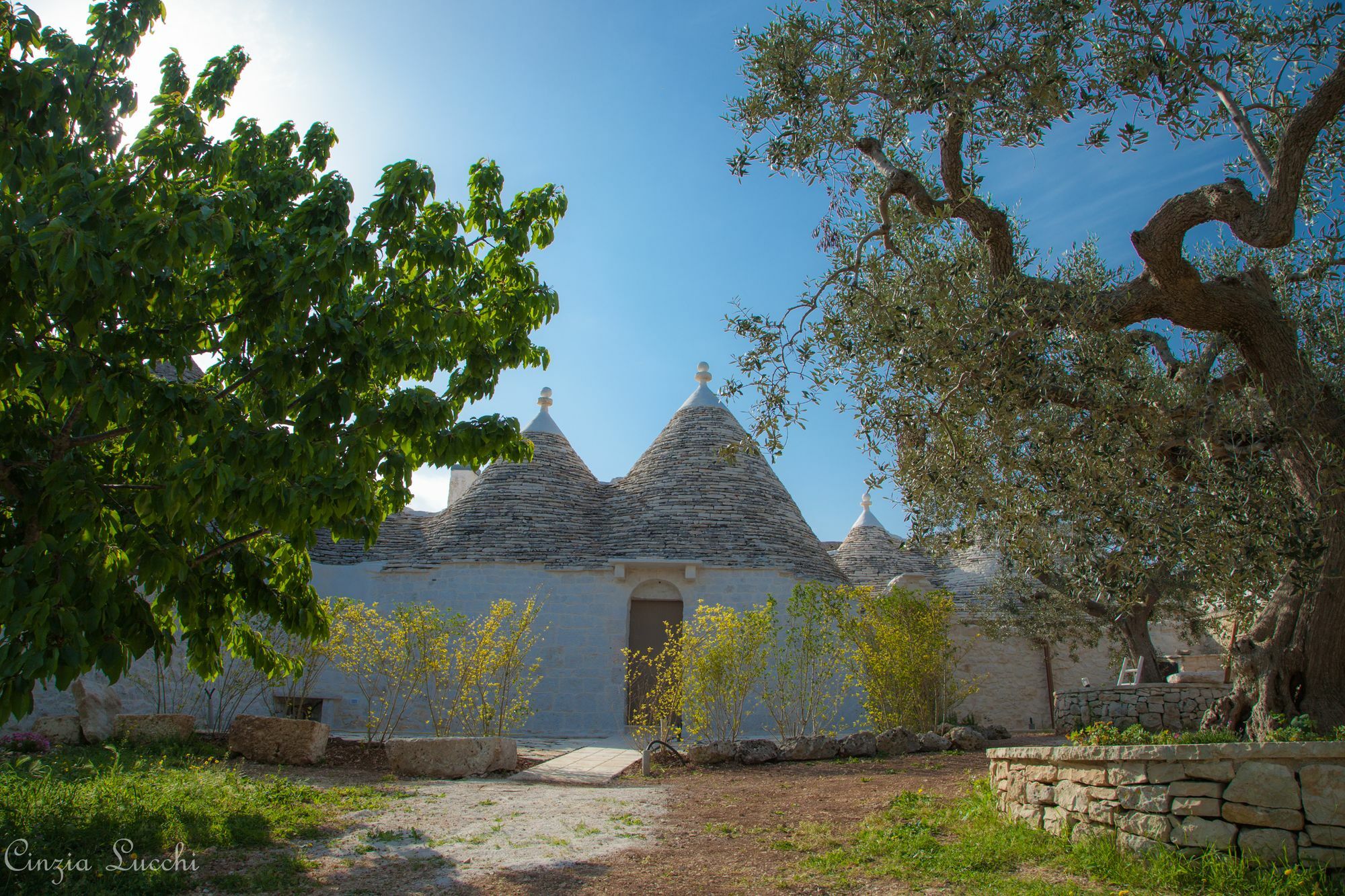 Gasthaus Trulli Barsento Alberobello Exterior foto